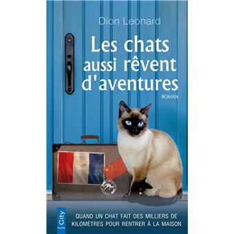 Les chats aussi rêvent d'aventures