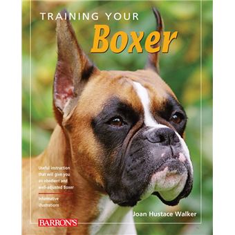 Training Your Boxer - 1