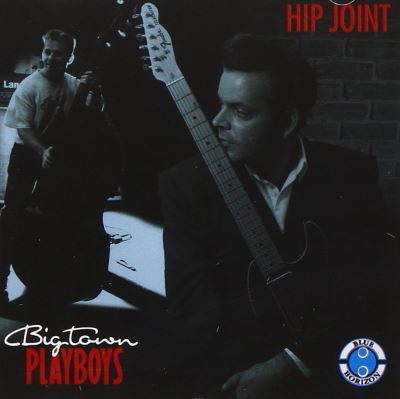 Hip joint