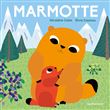 Marmotte