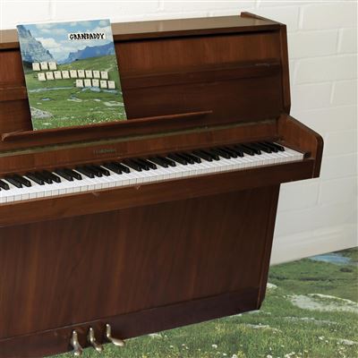 The Sophtware Slump On A Wooden Piano Vinyle Rose