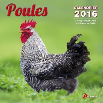 Calendrier Poules - 2016 - Broché - Collectif - Achat Livre | Fnac