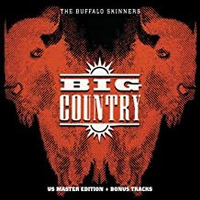 The Buffalo Skinners