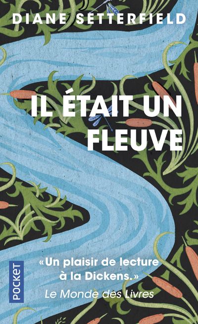 Il était un fleuve - Diane Setterfield - Poche