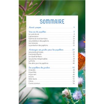 Découvrir les papillons du jardin