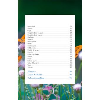 Découvrir les papillons du jardin