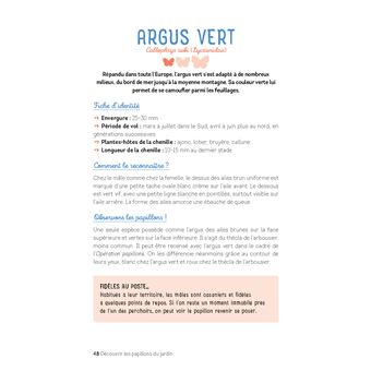 Découvrir les papillons du jardin