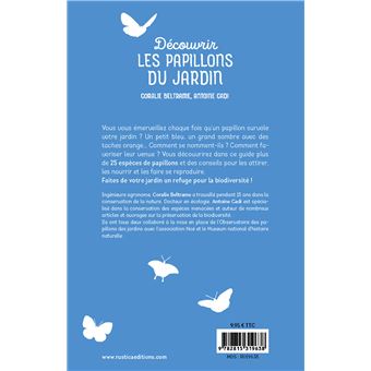 Découvrir les papillons du jardin