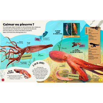 Qui est qui ? les animaux à ne pas confondre