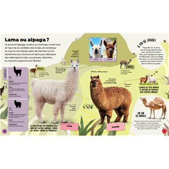 Qui est qui ? les animaux à ne pas confondre