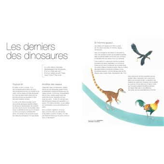 Oiseaux