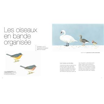 Oiseaux