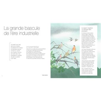 Oiseaux