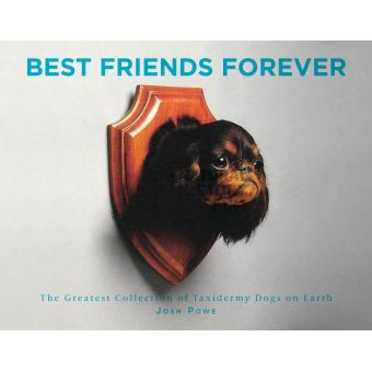 Best Friends Forever