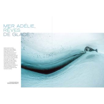 L'album RSF pour la liberté de la presse - Laurent Ballesta