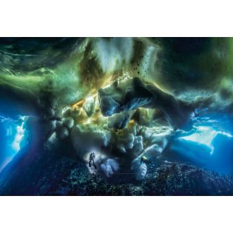 L'album RSF pour la liberté de la presse - Laurent Ballesta