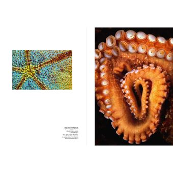 L'album RSF pour la liberté de la presse - Laurent Ballesta