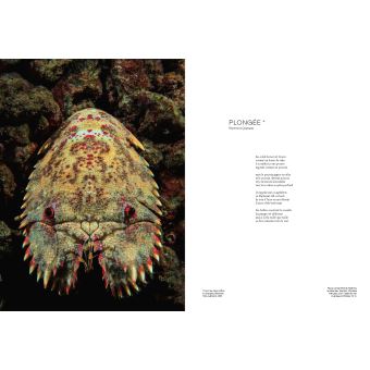 L'album RSF pour la liberté de la presse - Laurent Ballesta