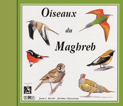 Oiseaux du Maghreb