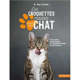 Des Croquettes Maison Pour Mon Chat Dernier Livre De J Cuvelier Precommande Date De Sortie Fnac