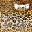 Heavy Rocks - CD
