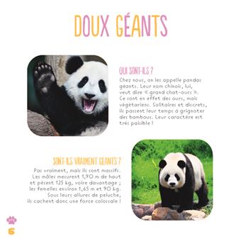 Les pandas