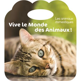 Les animaux domestiques