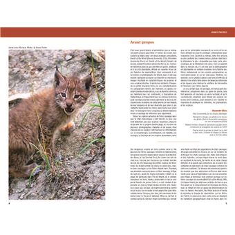 Félins et hyènes du monde