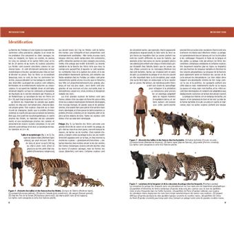 Félins et hyènes du monde