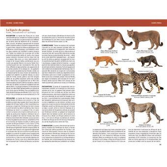 Félins et hyènes du monde