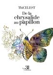 De la chrysalide au papillon