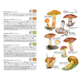 Champignons - Guide de Terrain