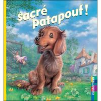 Patapouf Broche Marguerite Henri Achat Livre Fnac