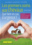 Les premiers soins aux chevaux