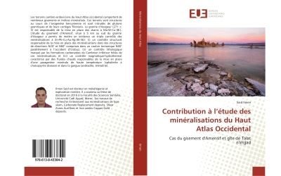 Contribution a l'etude des mineralisations du haut atlas occ