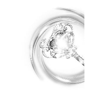 Les perles de l'oubli