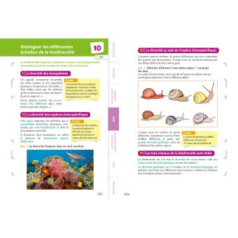 Fiches bac L'intégrale (tout-en-un) 2de