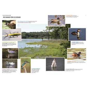 Les Paysages de France en bord de chemin