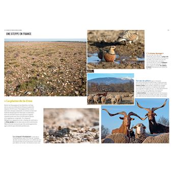 Les Paysages de France en bord de chemin