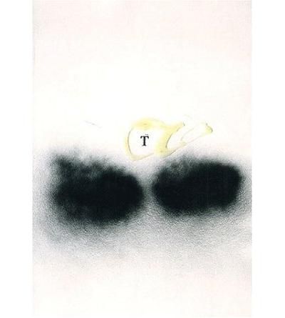 Antoni Tapies / Repères 121-122 - Yves Michaud - broché
