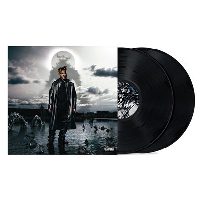 Fighting Demons (2LP) [Vinyl LP] - Image 2