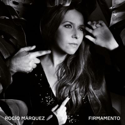 FIRMAMENTO/2LP