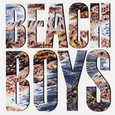 Beach boys/pochette cartonnee