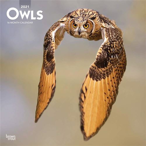 KALENDER 21 OWLS BTUK