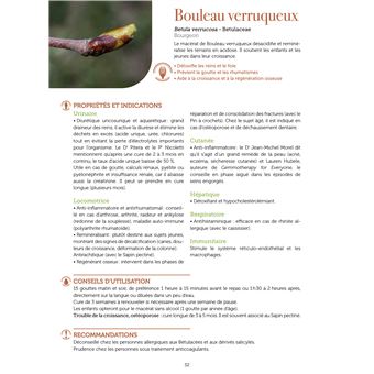 La gemmothérapie