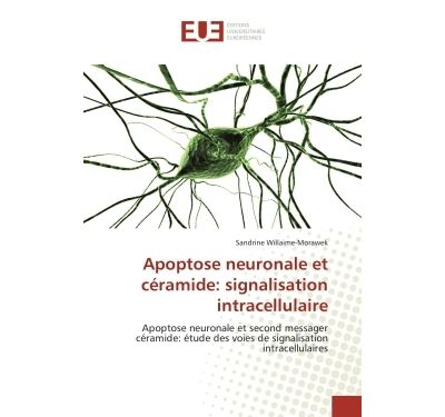 Apoptose neuronale et céramide: signalisation intracellulaire