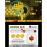 Console Nintendo 2 DS Noir + Bleu + New Super Mario Bros. 2_2