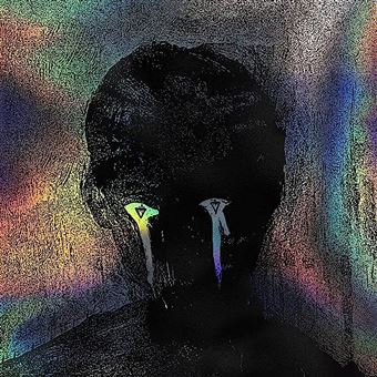 Color Decay Édition Deluxe : Vinyle album en The Devil Wears Prada ...