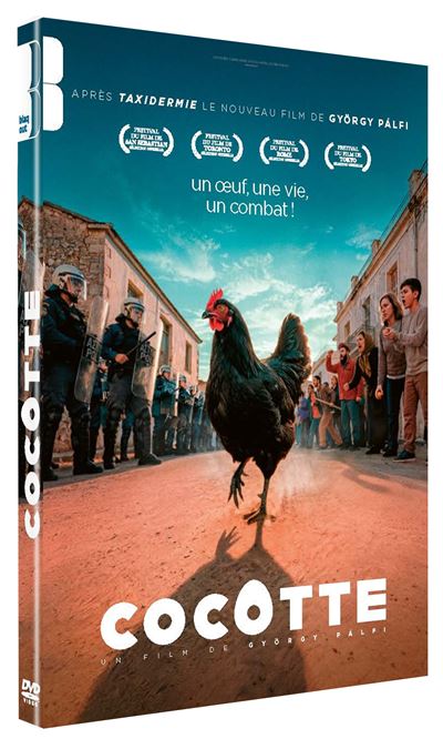 Cocotte en DVD