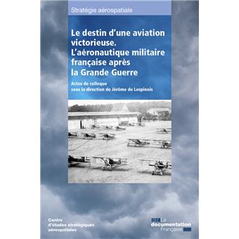 Le destin d'une aviation victorieuse